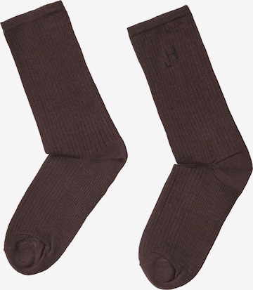 HINNOMINATE Socks in Brown: front