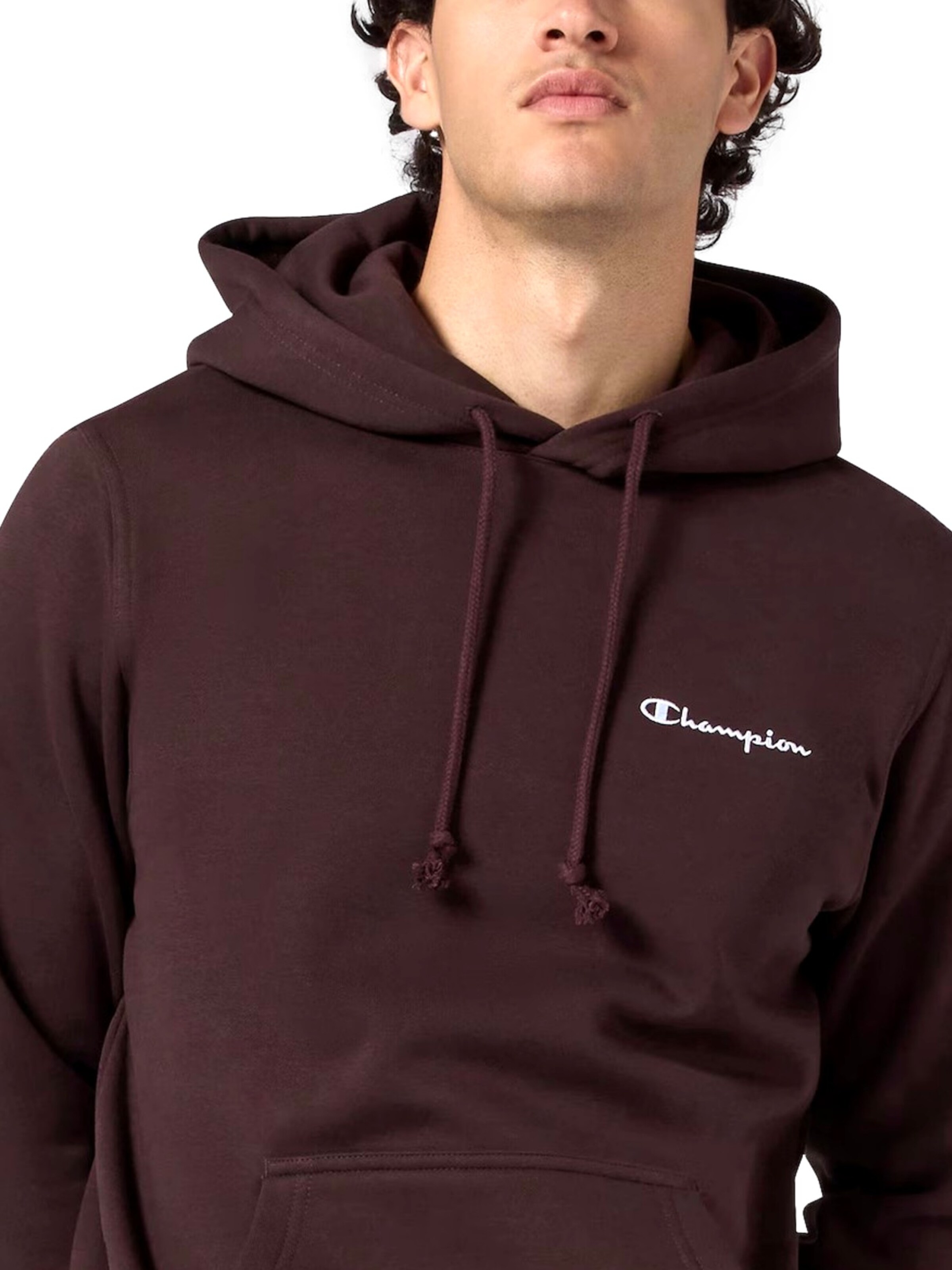 Champion Authentic Athletic Apparel Pullover i brun