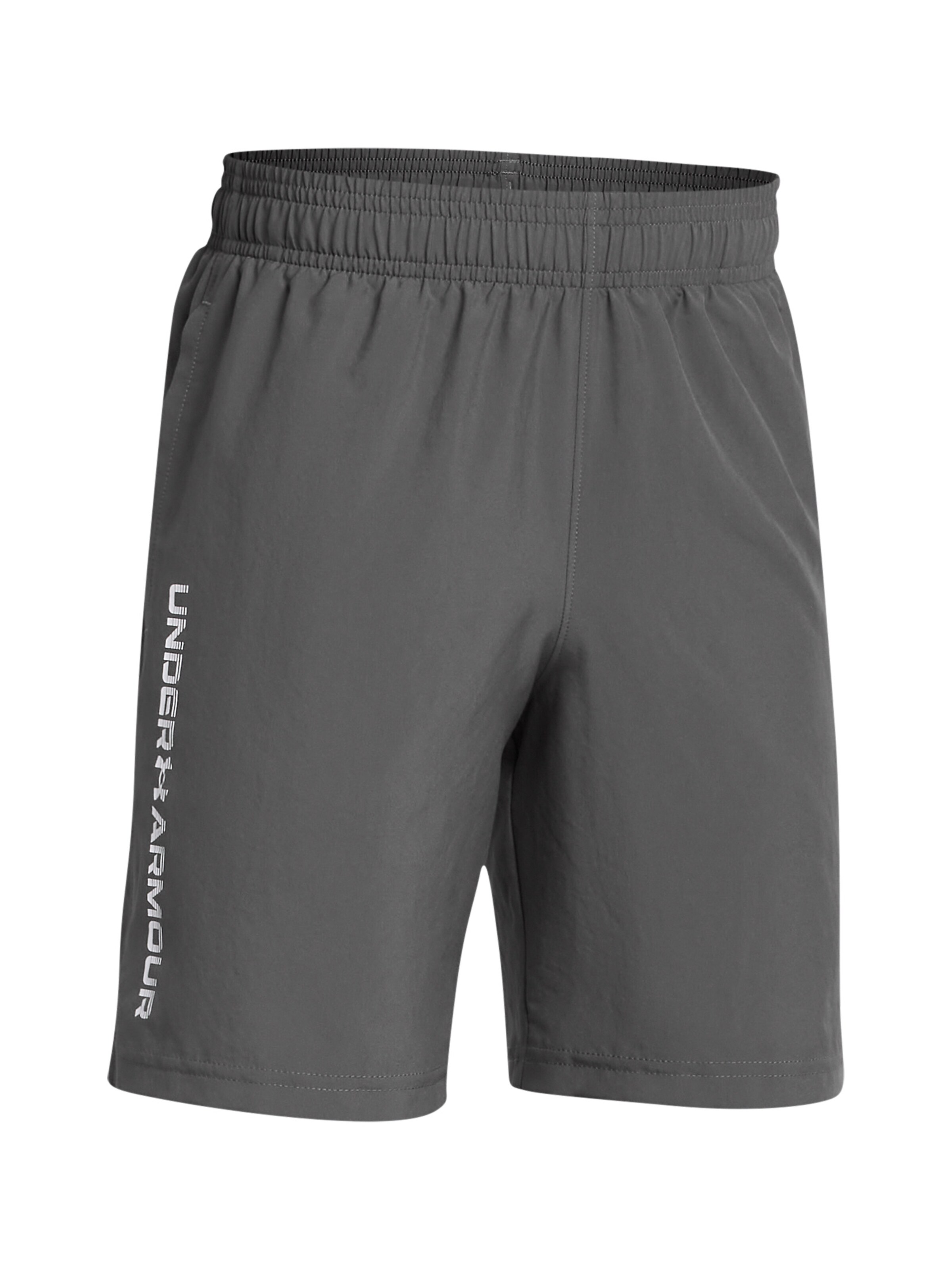 UNDER ARMOUR Regular Workout Pants in Grey