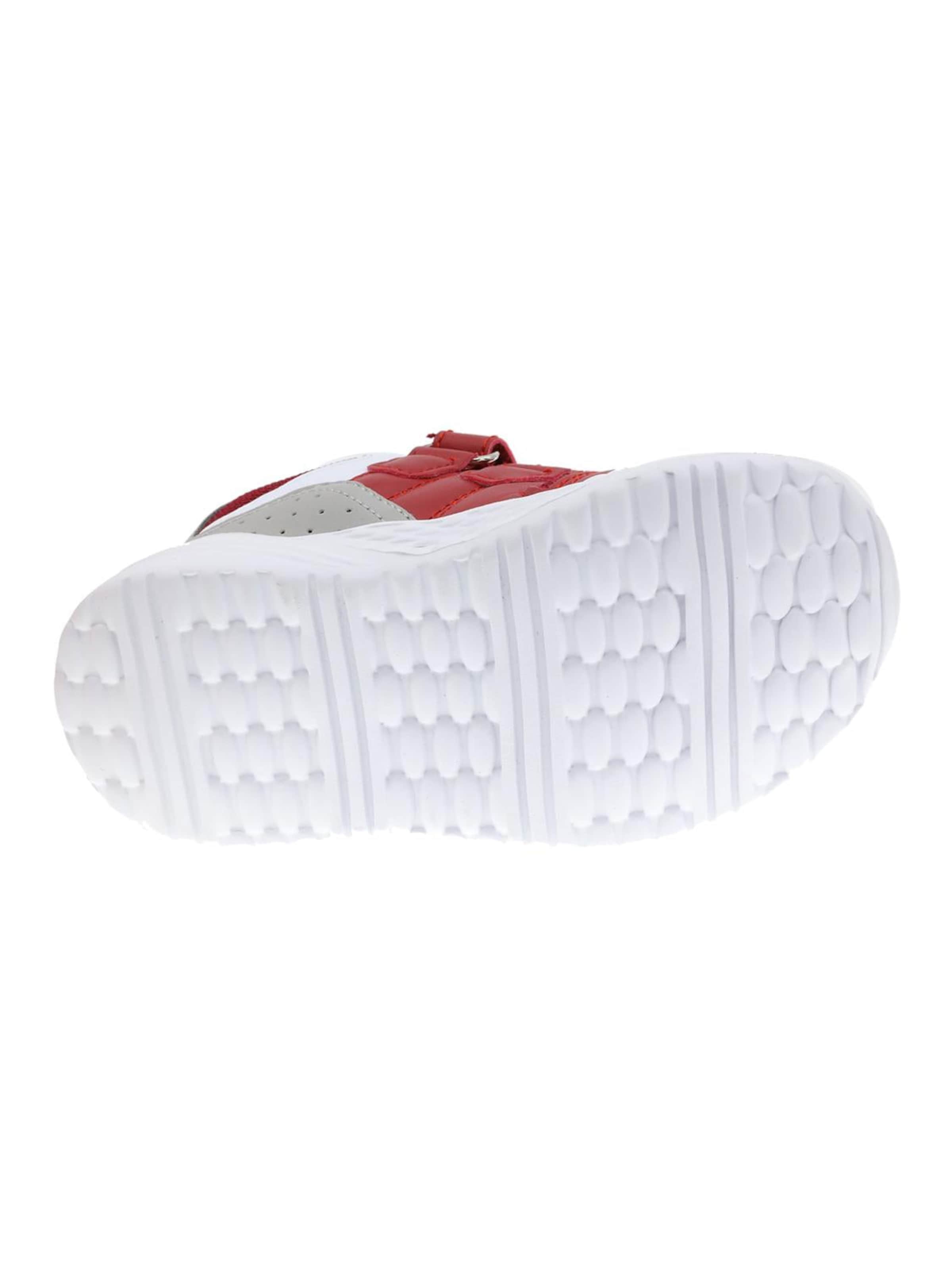 Beppi Sneaker‌‌‌‌‌‌‌‌ in Rot