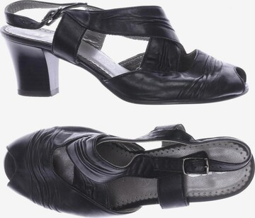 ARA Sandals & High-Heeled Sandals in 36 in Black: front