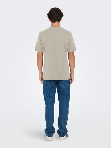 Only & Sons Bluser & t-shirts 'LEVI' i grå