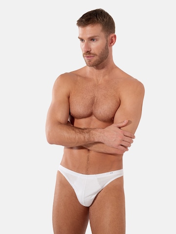 HOM Slip ' Micro Briefs ' in Grey: front