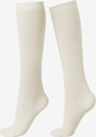 CALZEDONIA Knee High Socks in White: front