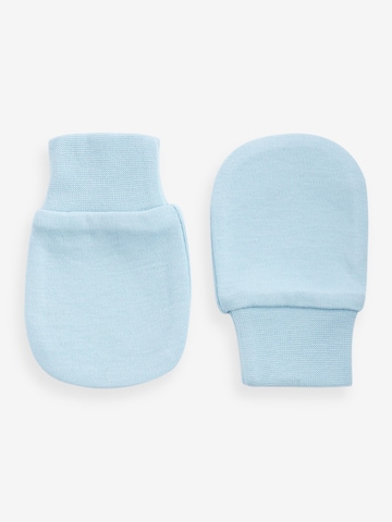 Next Gloves in Blue