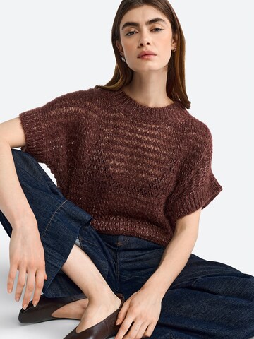Rich & Royal Pullover i brun