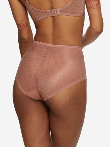 TRIUMPH Maxislip ' Red Label Triumph Signature Sheer ' in Beige