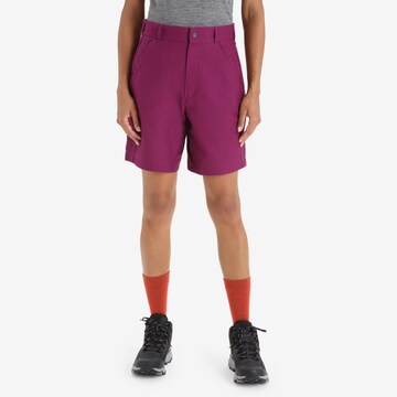 ICEBREAKER Regular Outdoor Pants 'HIKE' in Purple: front