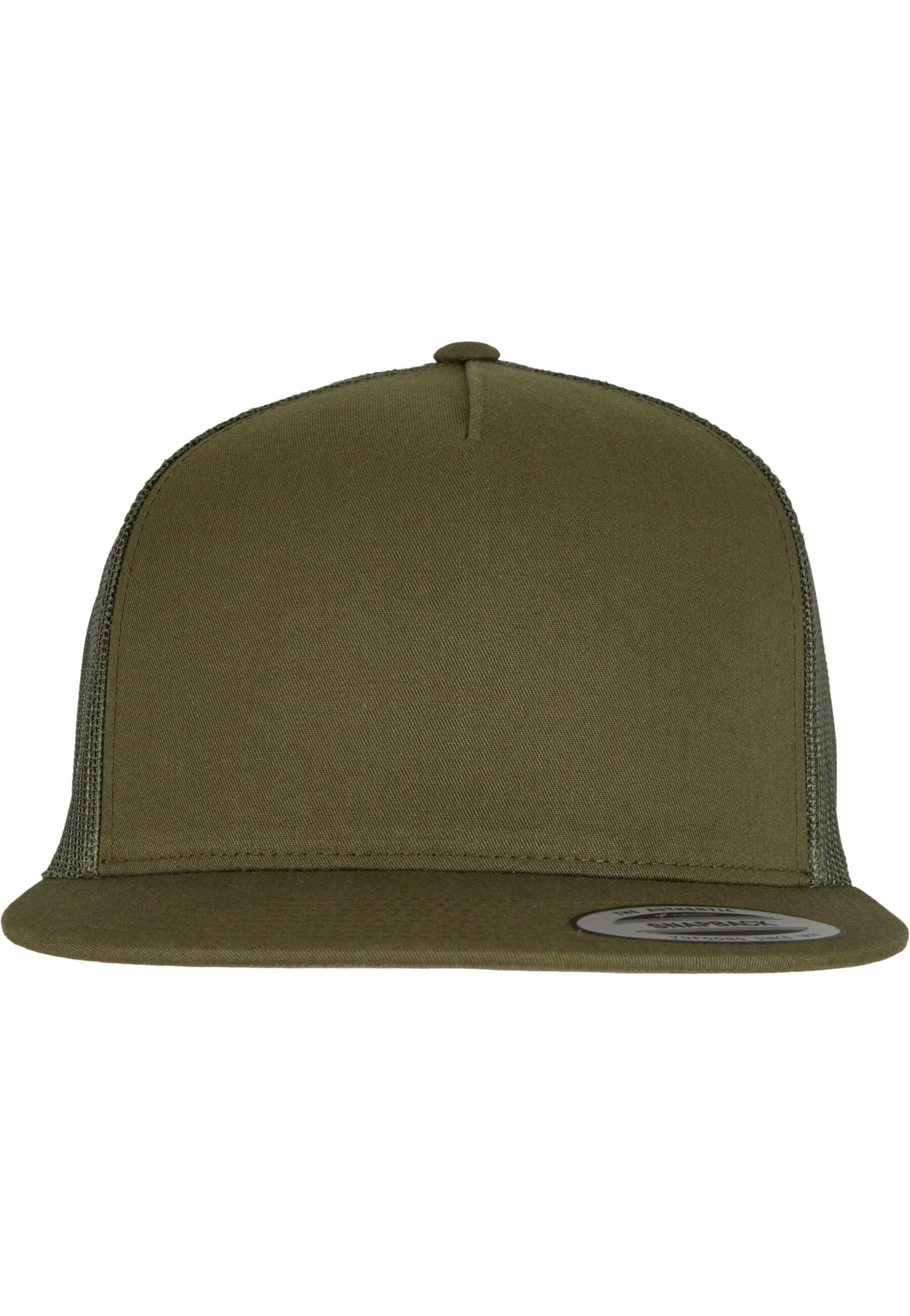 Flexfit Кепка 'Classic' в Зеленый