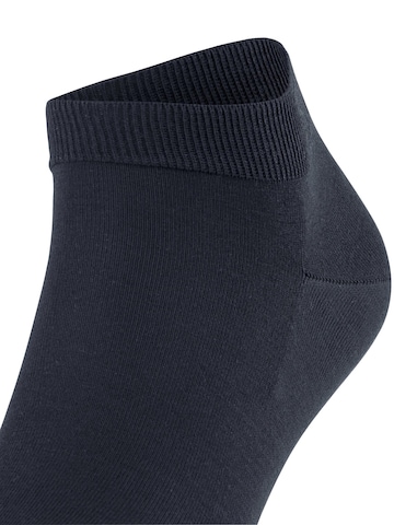 FALKE Socks 'ClimaWool' in Blue