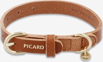 Picard Hundehalsband 'Susi' in Braun: predná strana