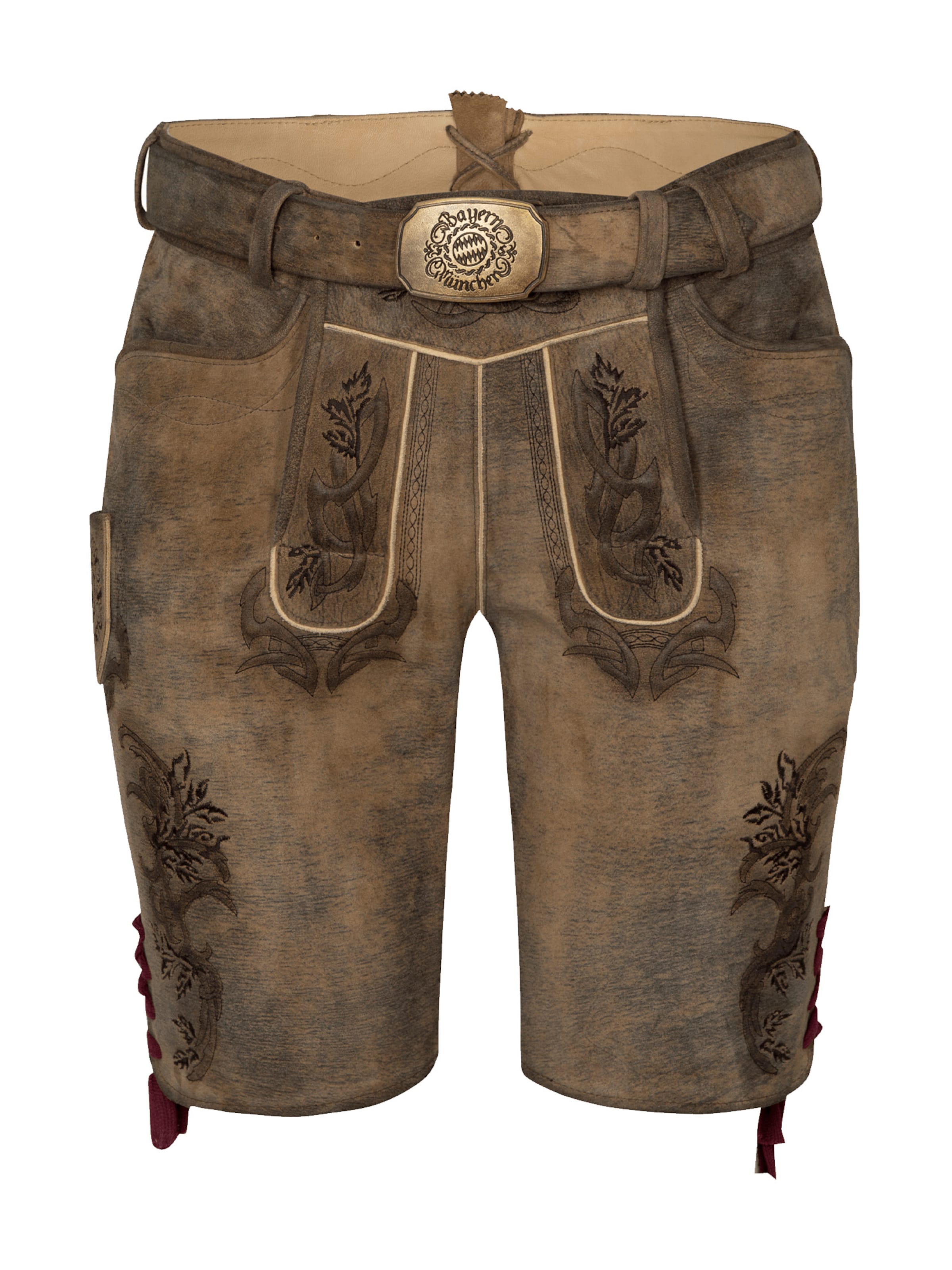 SPIETH & WENSKY Regular Traditional Pants in Brown: front
