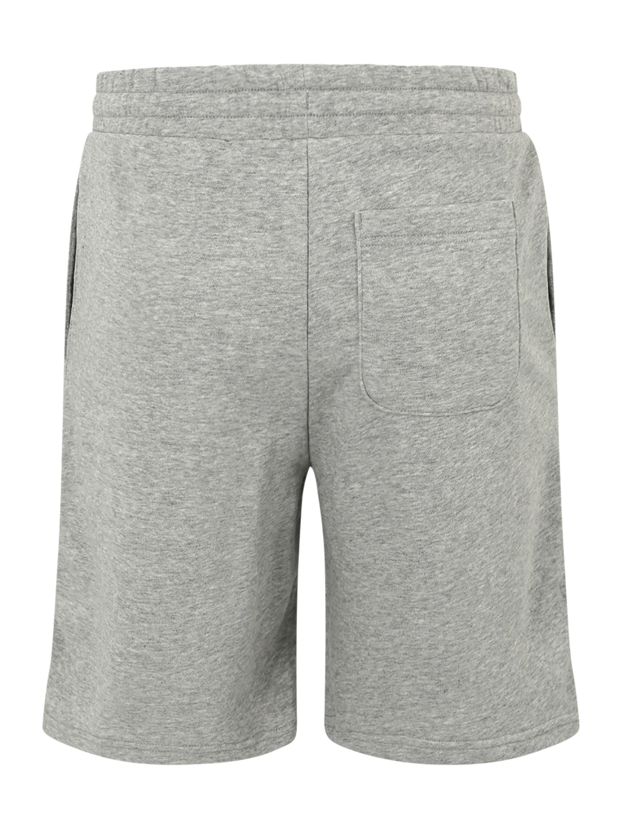 CONVERSE Štandardný strih Nohavice - Sivá