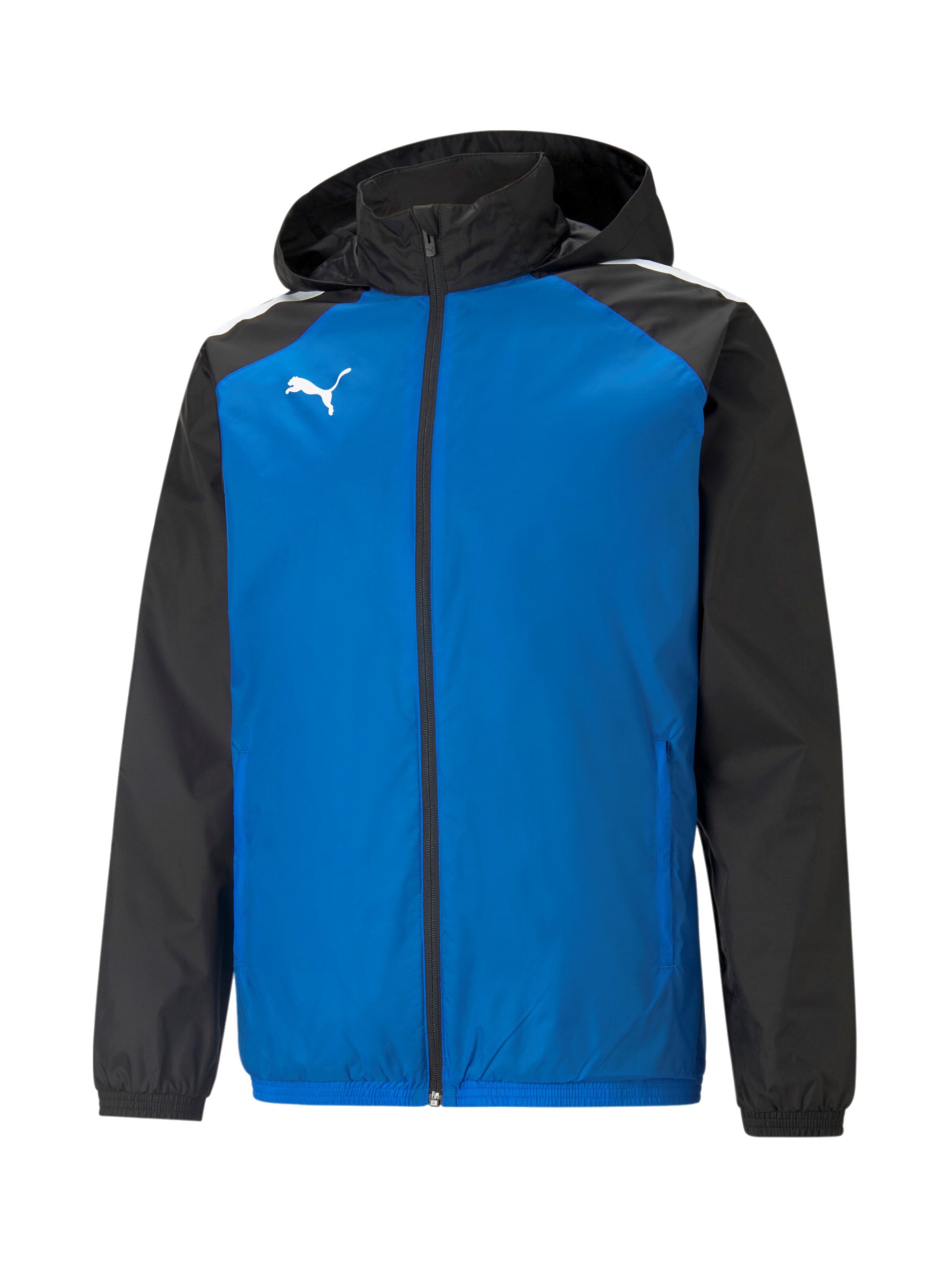 PUMA Athletic Jacket 'TeamLiga' in Blue