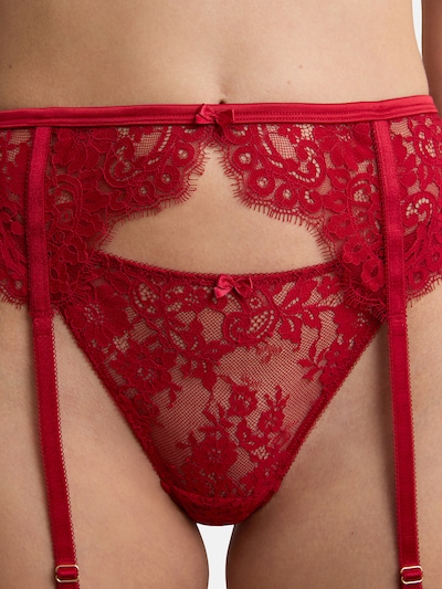ETAM Garter Belt 'Infini' in Blood red, Item view
