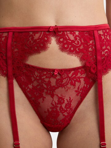 Reggicalze 'Infini' di ETAM in rosso