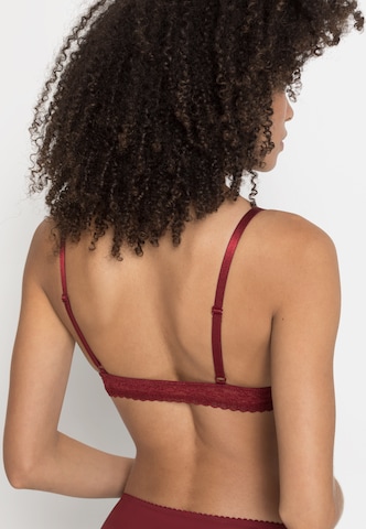 s.Oliver Triangle Bra in Red