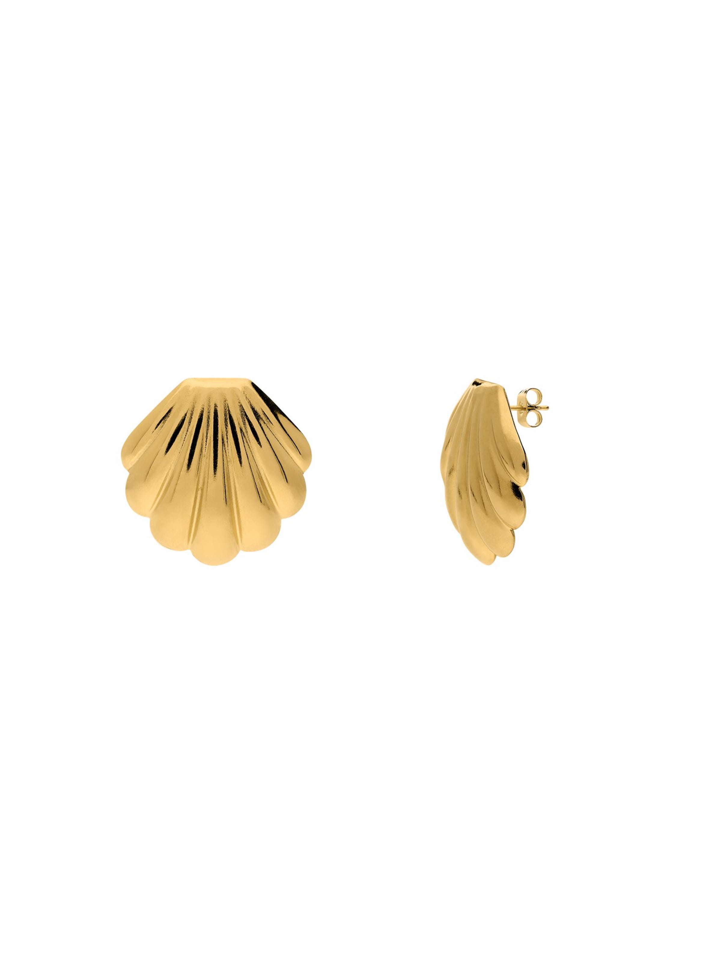 Lucardi Earrings in Gold: front