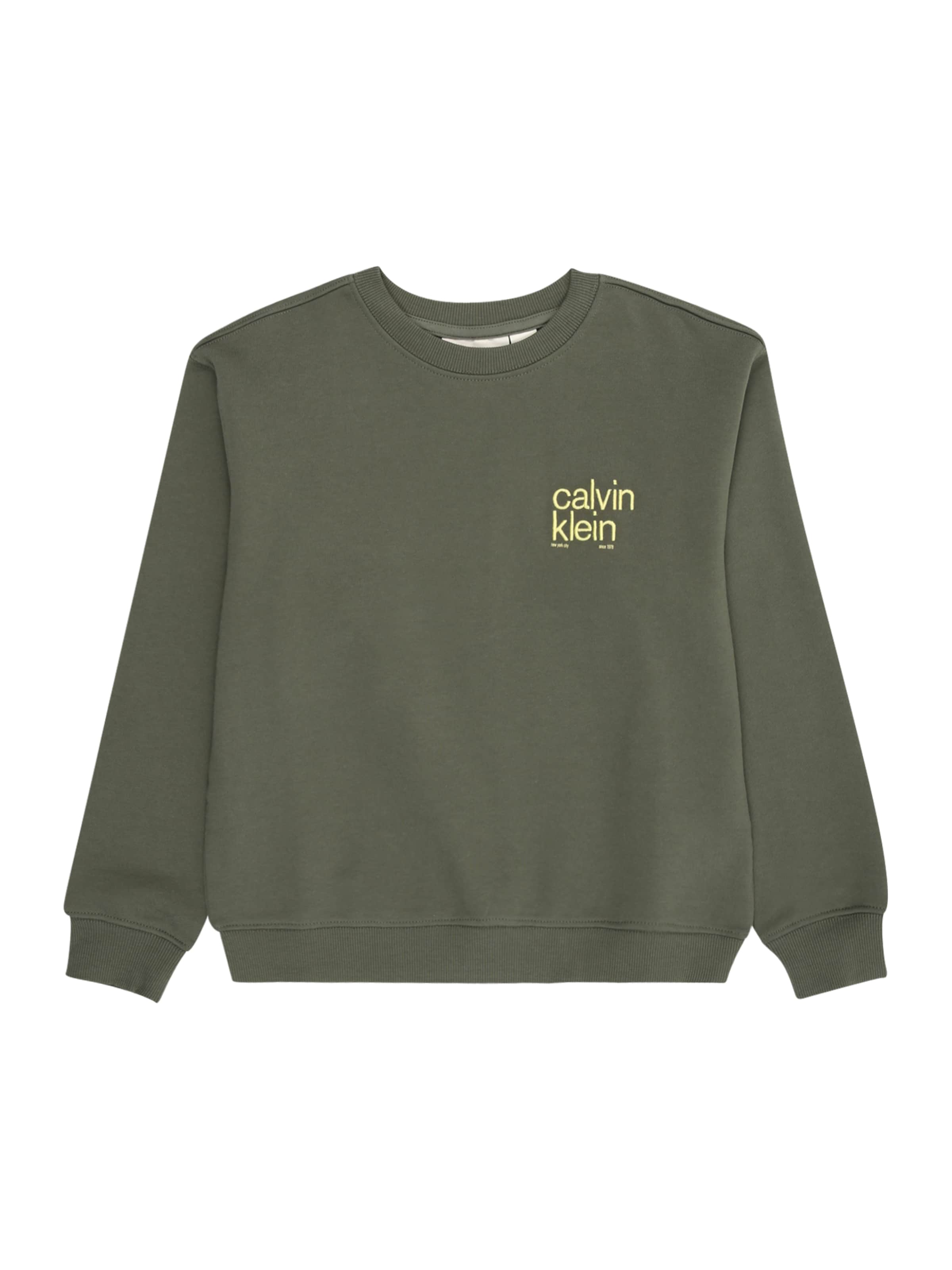 zaļš Calvin Klein Jeans Sportisks džemperis: no priekšpuses