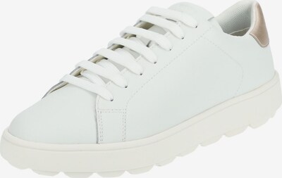 GEOX Sneakers in Gold / White, Item view
