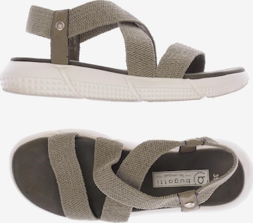 bugatti Sandalen 39 in Grün: predná strana