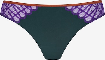 Mey Panty 'Poetry Temptation' in Green: front