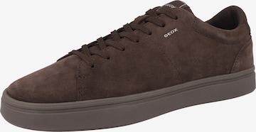 Baskets basses 'U Baltmoore' GEOX en marron : devant