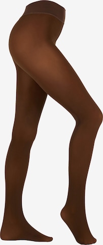 camano Tights in Brown: front