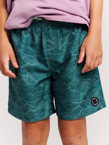 PROTEST Board Shorts 'PRTFloris JR' in Green