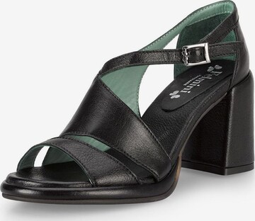 FELMINI Sandals in Black: front