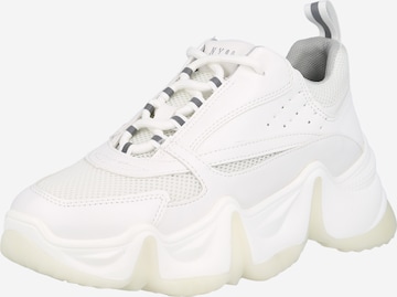 Sneaker bassa di STEVE MADDEN in bianco: frontale