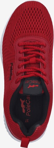 PoleCat Sneaker in Rot