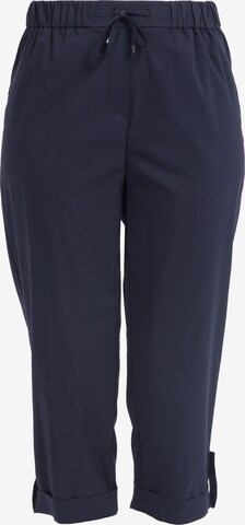 HELMIDGE Loose fit Pants in Blue: front