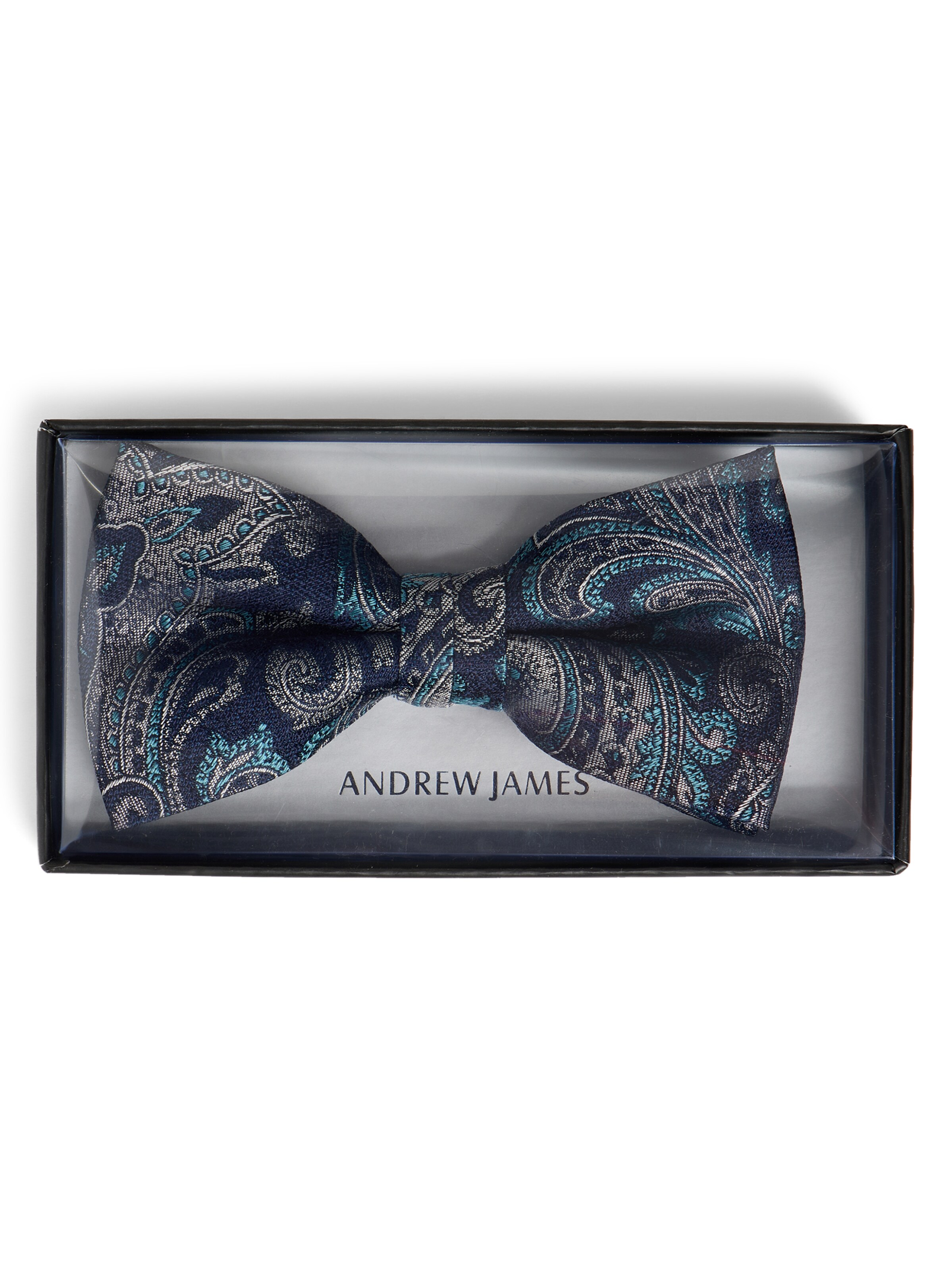 Andrew James Bow Tie in Blue