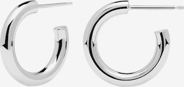 P D PAOLA Earrings in Silver: front