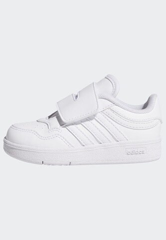 ADIDAS SPORTSWEAR Sneakers in White: front