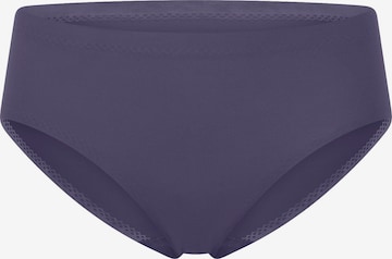 Slip SCHIESSER en violet : devant