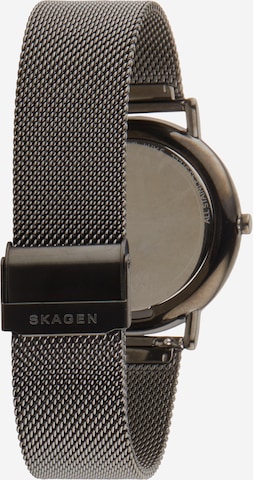 SKAGEN Analog Watch 'SIGNATUR' in Silver