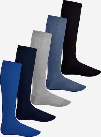footstar Kniestrümpfe 'EVERYDAY!' in Blau: Vorderseite