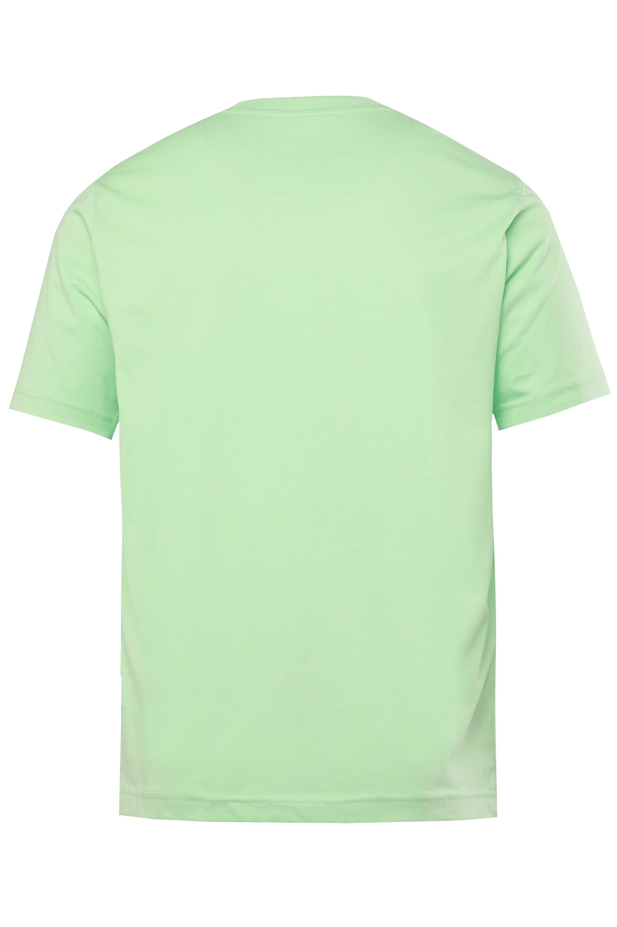 Men Plus T-Shirt in Grün