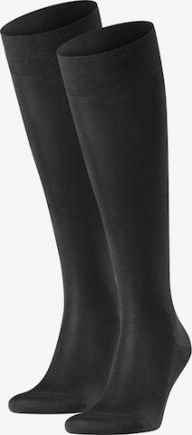 FALKE Knee socks in Black: front