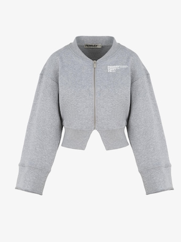 Sweat-shirt FEMSSY en gris : devant