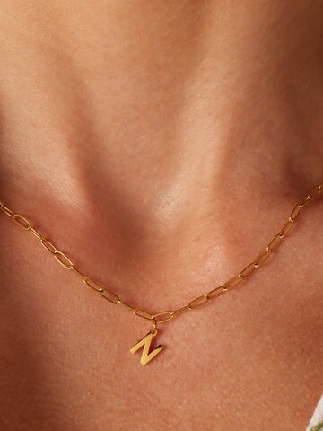 Lucardi Necklace in Gold: front