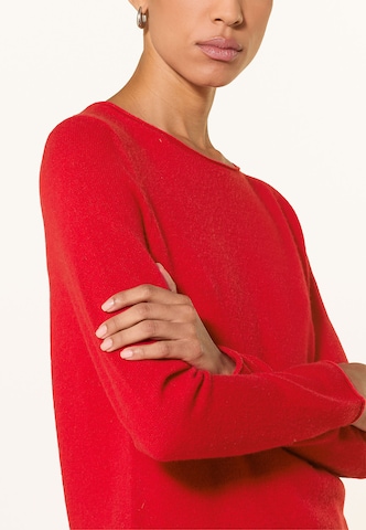 darling harbour Cashmere-Pullover in Rot: Vorderseite