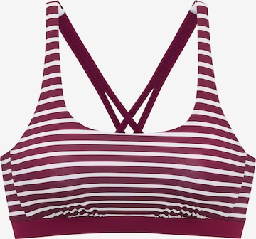VENICE BEACHBustier Bikini gornji dio - ljubičasta boja: prednji dio