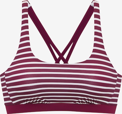 VENICE BEACH Top de bikini en 70 en berenjena / blanco, Vista del producto