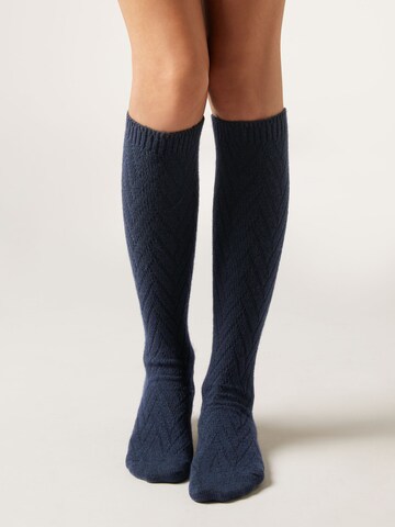 CALZEDONIA Knee High Socks in Blue: front
