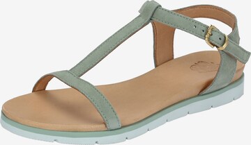 Apple of Eden Strap Sandals ' DANA ' in Green: front