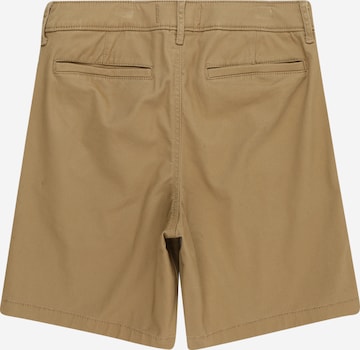 regular Pantaloni di Abercrombie & Fitch in marrone