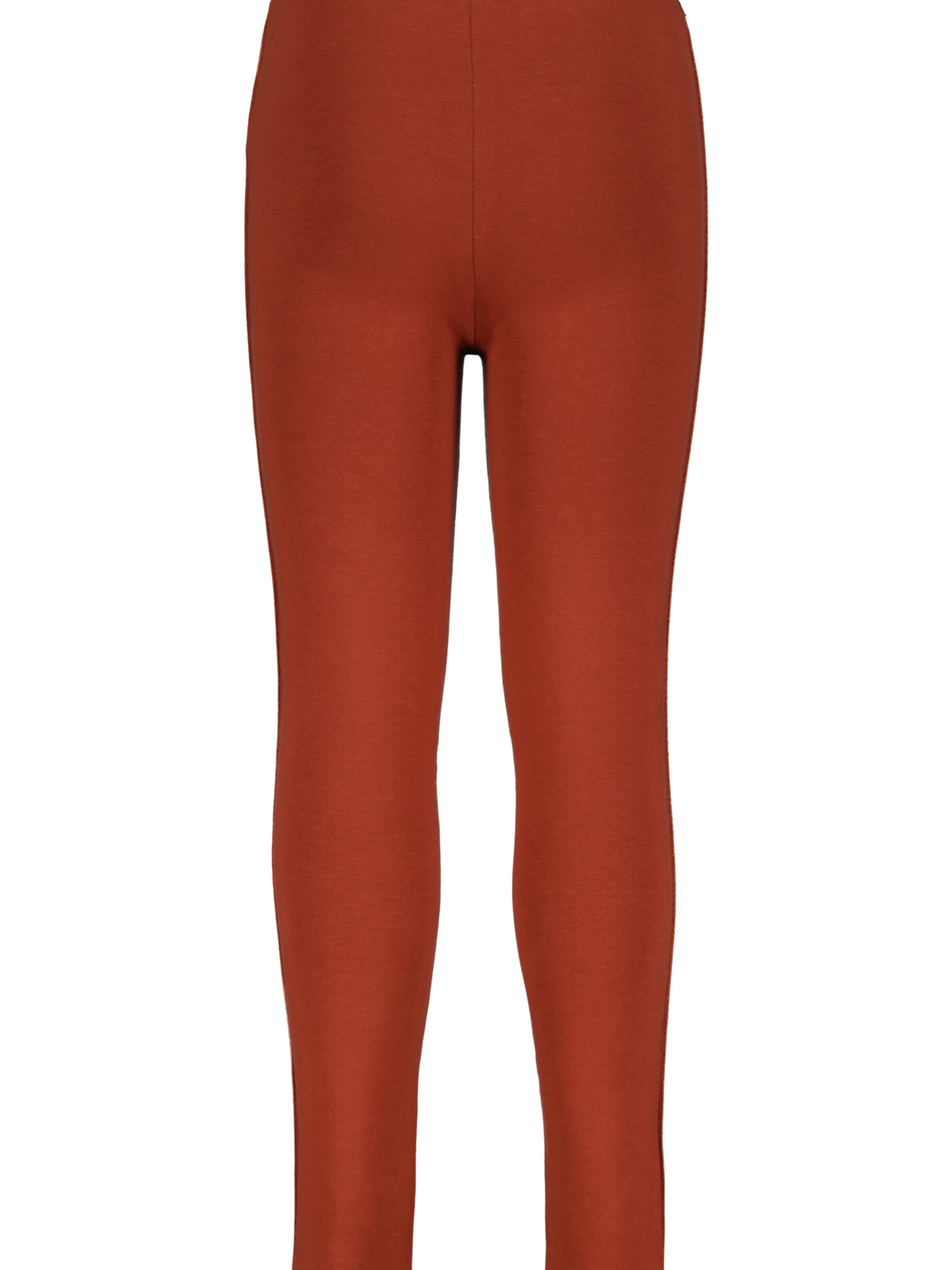 4PRESIDENT Regular Pants 'Imke' in Brown